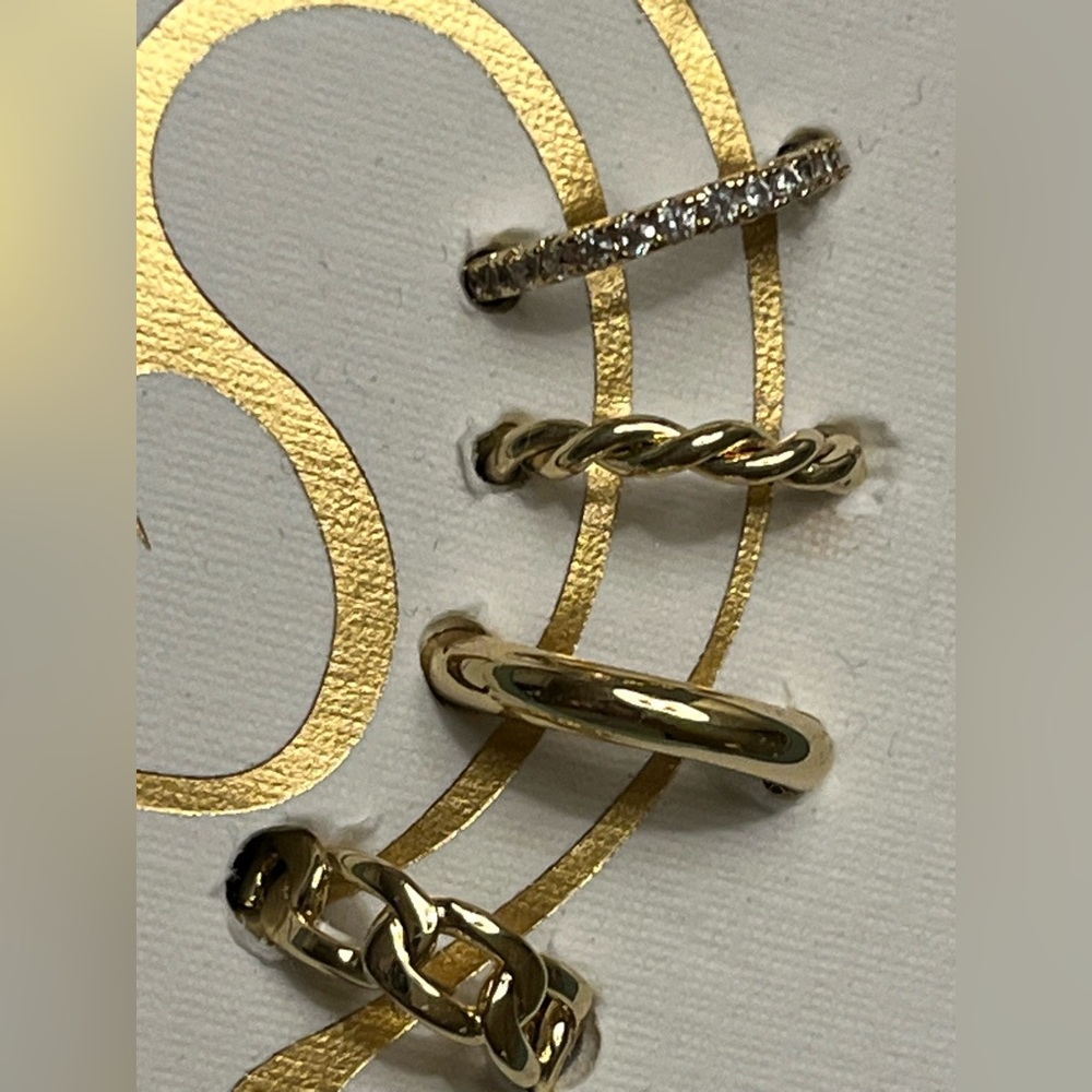 House of Harlow 1960 Gold Spiral Earrings